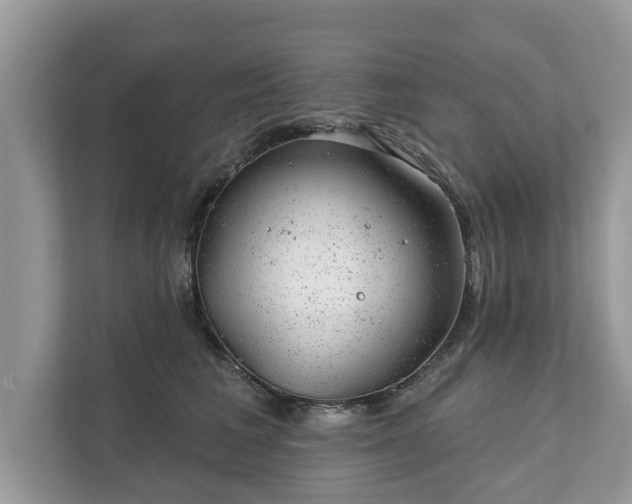 X0000111870613200907301118