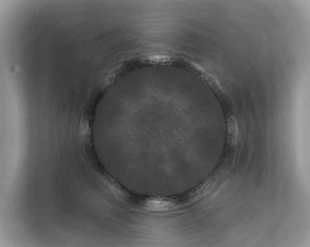 X0000111870614200907301118