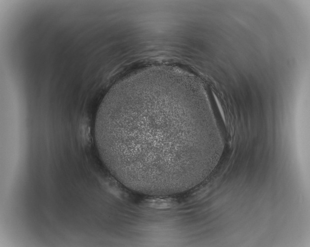 X0000111870615200907301118