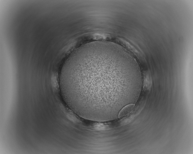 X0000111870616200907301118