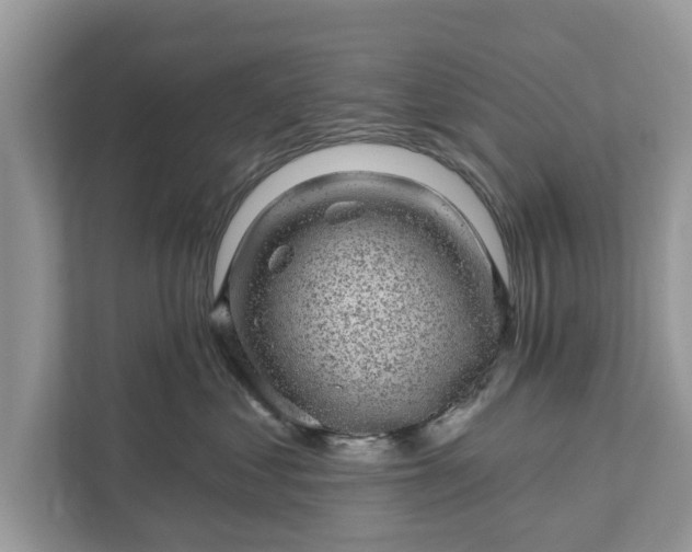 X0000111870621200907301118