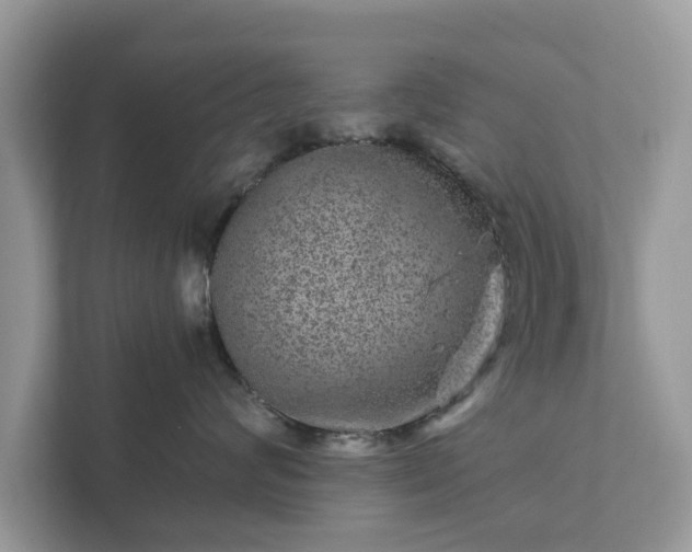 X0000111870624200907301118