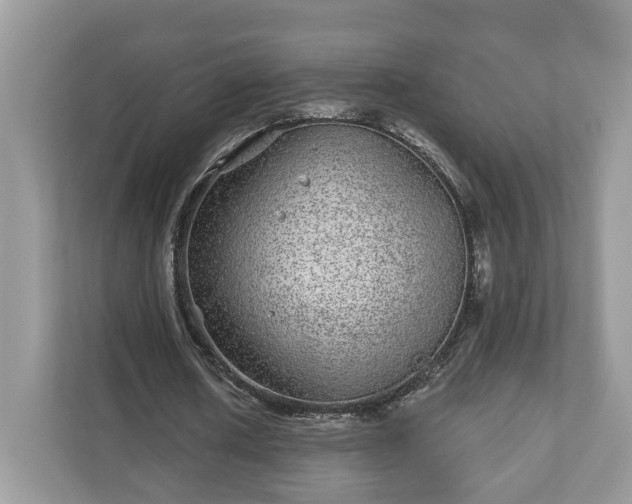 X0000111870626200907301117