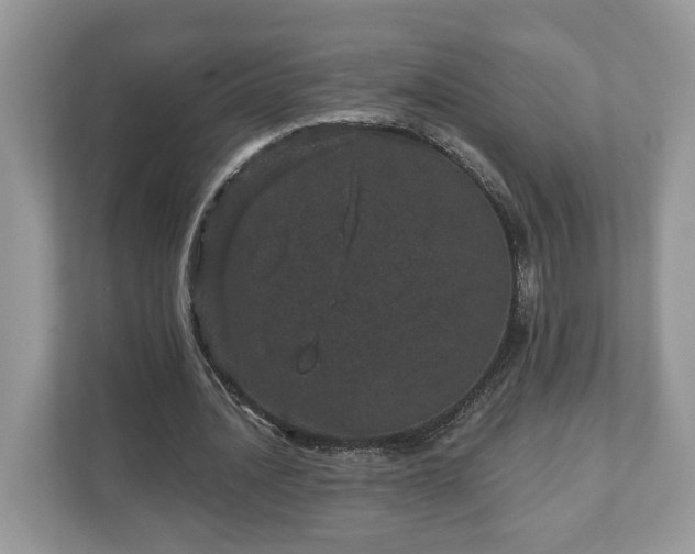 X0000111870628200907301117