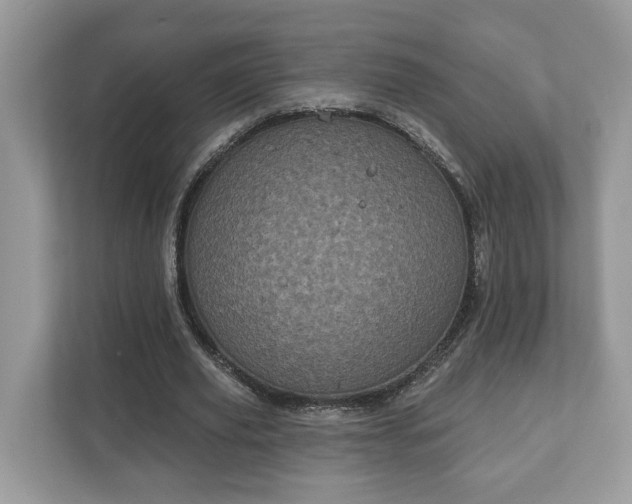 X0000111870629200907301117