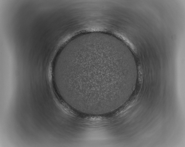 X0000111870631200907301117