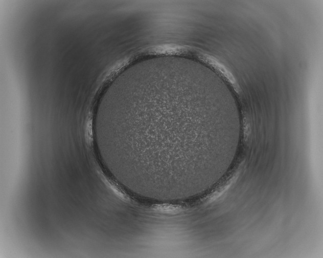 X0000111870633200907301117