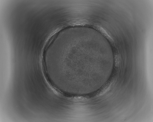 X0000111870634200907301117