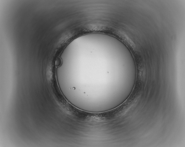 X0000111870635200907301117