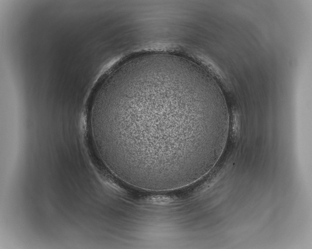 X0000111870636200907301117