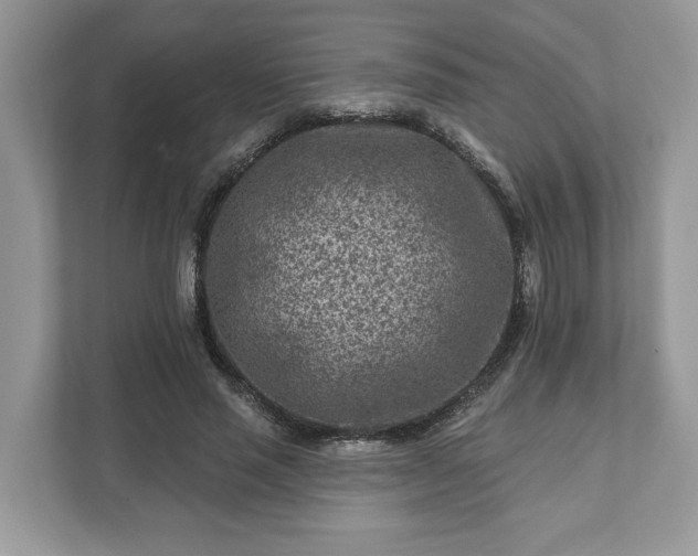 X0000111870637200907301117