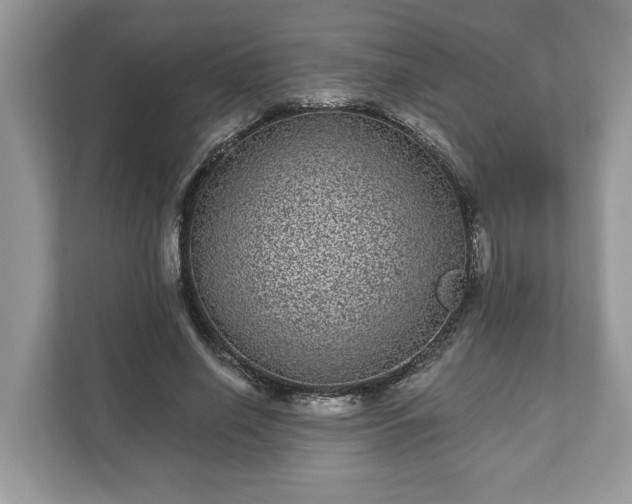 X0000111870638200907301117