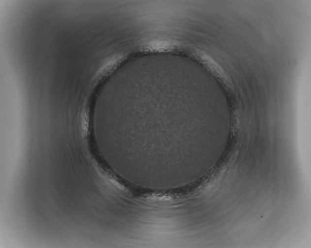 X0000111870640200907301117