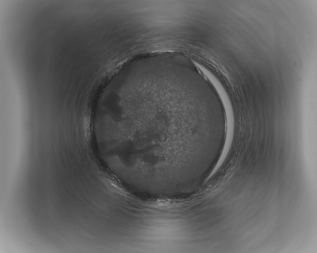 X0000111870641200907301117