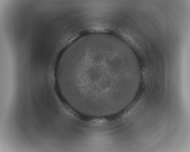 X0000111870642200907301117