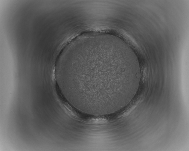 X0000111870644200907301117