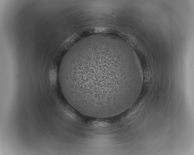 X0000111870648200907301117