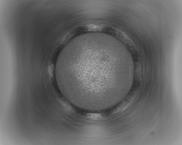 X0000111870649200907301117