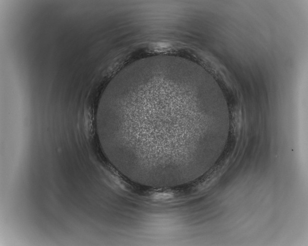 X0000111870653200907301117