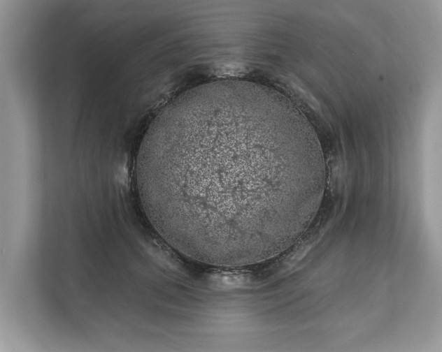 X0000111870655200907301117