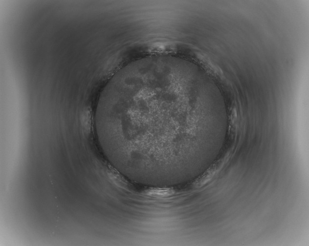 X0000111870659200907301117