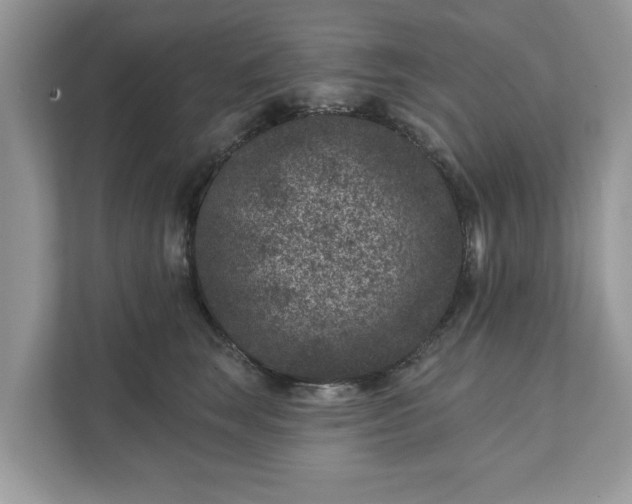 X0000111870663200907301117