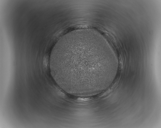 X0000111870665200907301117