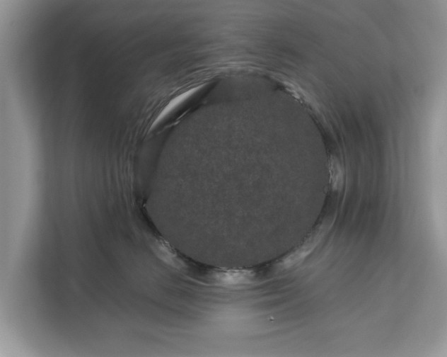 X0000111870670200907301118