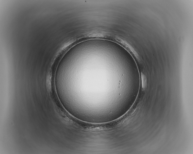 X0000111870675200907301117