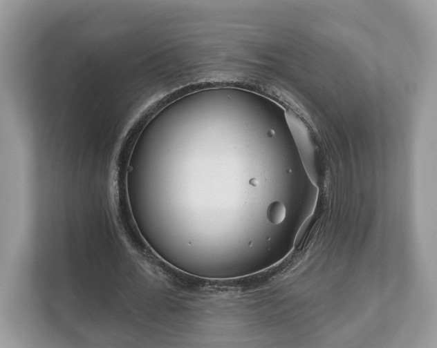 X0000111870676200907301117