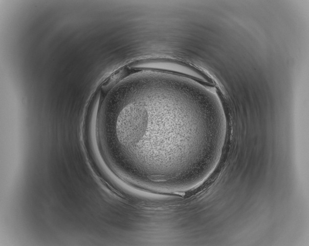 X0000111870677200907301117