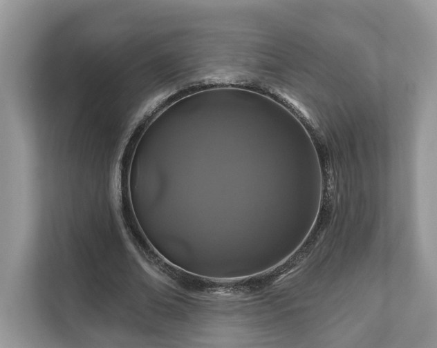 X0000111870678200907301117