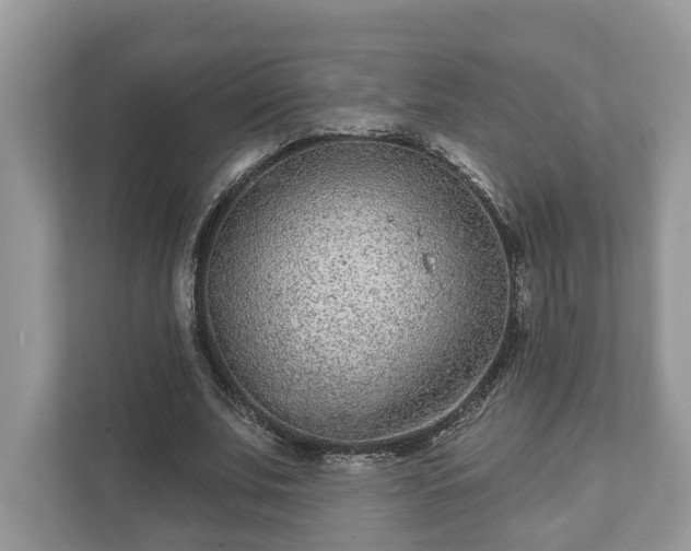 X0000111870679200907301117