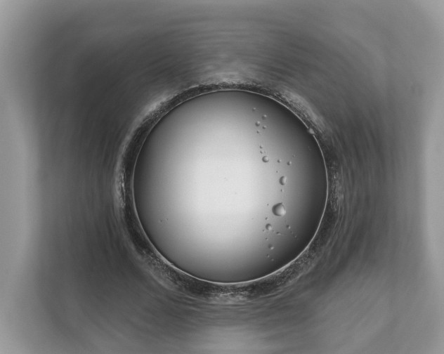 X0000111870680200907301117