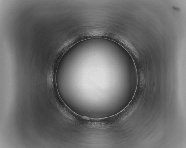 X0000111870681200907301117