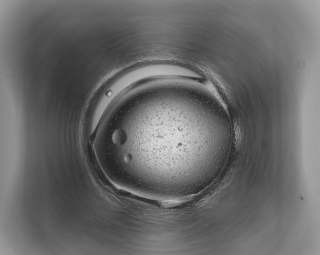 X0000111870684200907301117