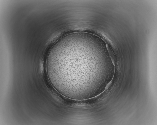 X0000111870685200907301117