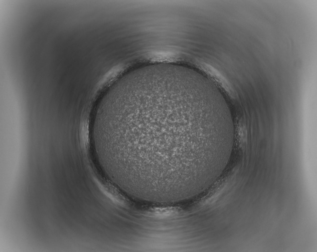 X0000111870686200907301117