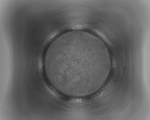 X0000111870687200907301117