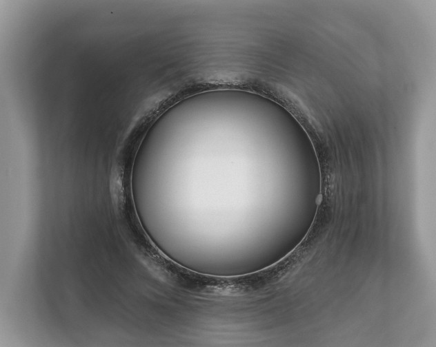 X0000111870688200907301117