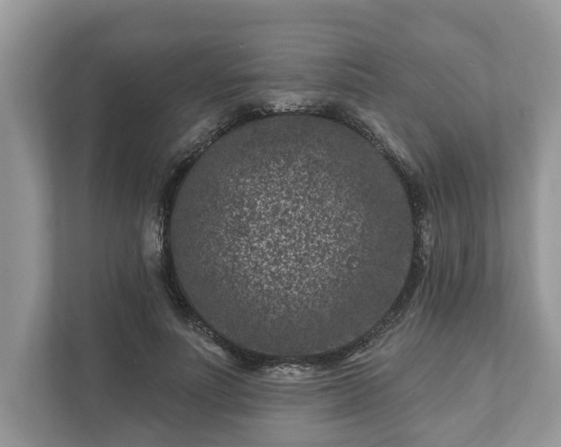 X0000111870691200907301117