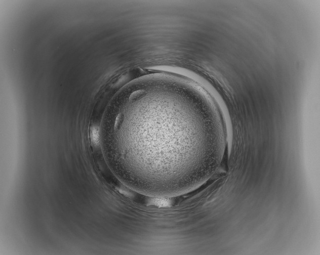 X0000111870693200907301116