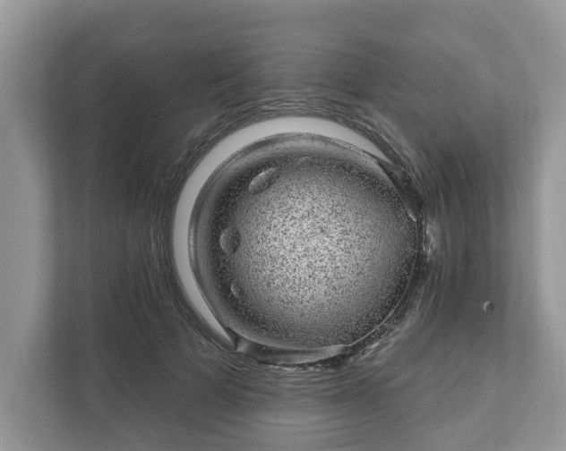 X0000111870697200907301116