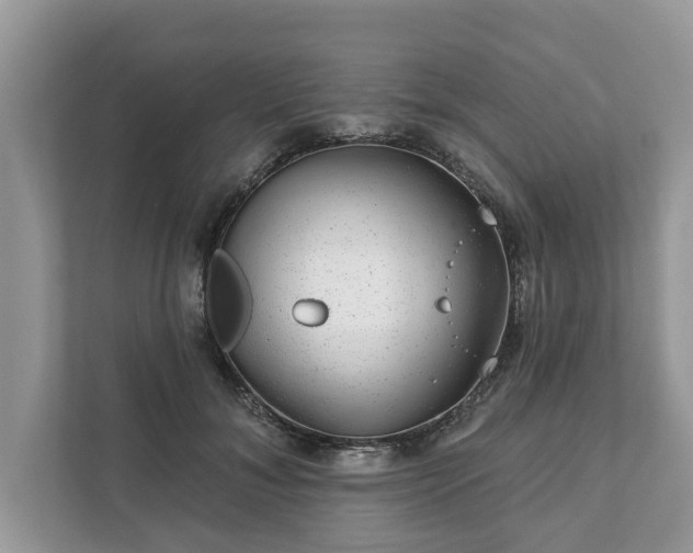 X0000111870700200907301116