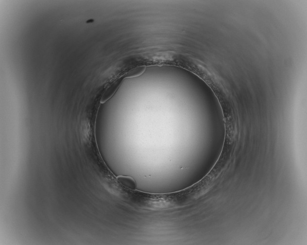 X0000111870704200907301116