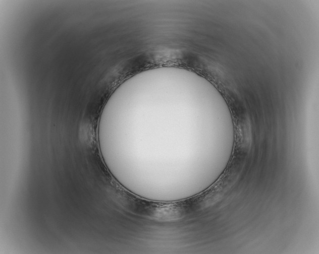 X0000111870705200907301116