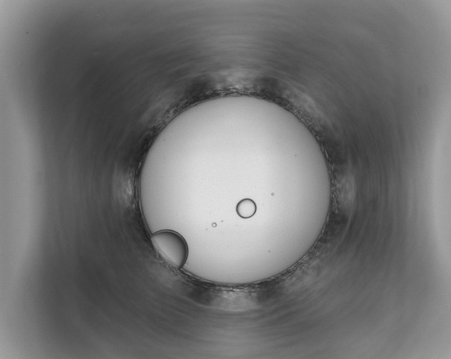 X0000111870709200907301116