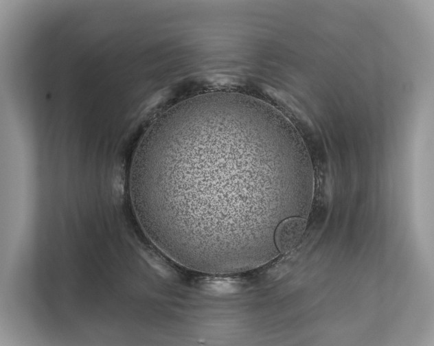 X0000111870710200907301116