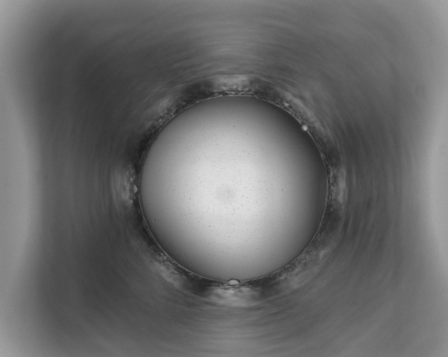 X0000111870712200907301116