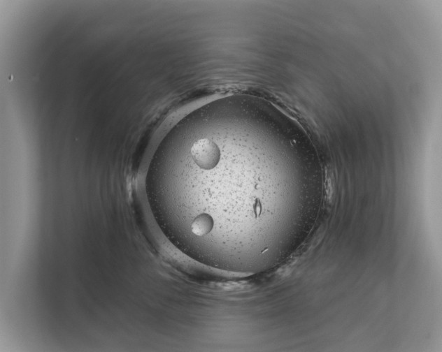 X0000111870716200907301116